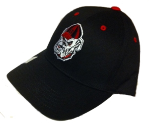 Georgia Bulldogs Black Hat